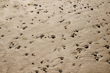 
stones on the beach