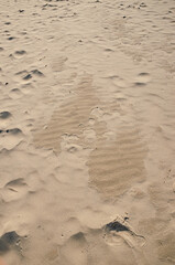Fototapeta na wymiar beach with sand