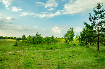Obraz premium wide-angle green field