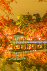 紅葉　岡崎東公園