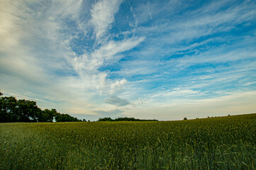 
wide-angle field