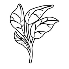 branch with leafs botanical line style icon