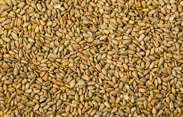 Sunflower Kernels Roasted Seeds Background. Selective focus.