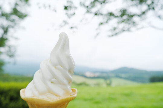 牧場で食べる美味しいソフトクリーム