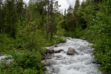 The rushing Lake Creek, along Moose-Wilson Road in Grand Teton National Park in summer