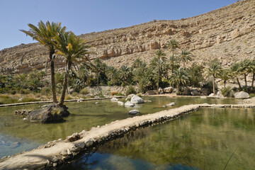 Fototapeta na wymiar Pools and date palms in Wadi Bani Khalid, Sultanate of Oman