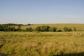 Fotobehang Kansas prairie field of grass and blue sky © Silver Edge