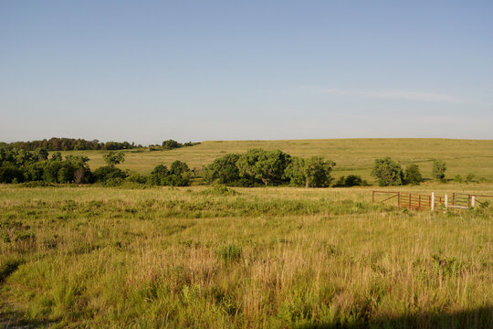 Kansas prairie field of grass and blue sky