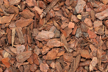 Gravel texture, tree bark, gravel mountain