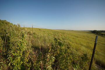 Obraz premium prairie hillside in Kansas with barbed wire fence