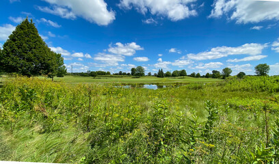 Fototapeta na wymiar views from golf course trees wildflowers ponds