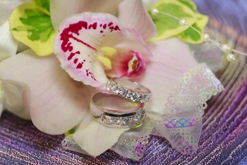 Wedding rings roses ceremony