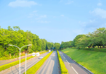 真っ直ぐ続く道路（所沢市の所沢航空記念公園）