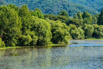 Landscape of lake surrounded by trees