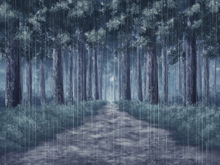 森の一本道曇り