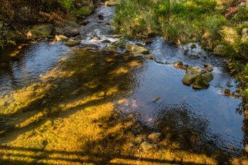 Landscape of small stream in rural woodland park