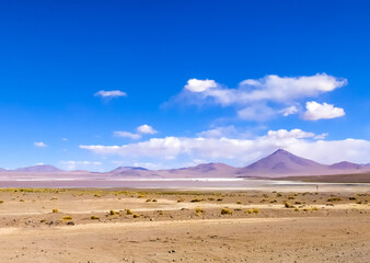 Fototapeta na wymiar Fantastic colors of the Colorado lagoon on the Altiplano plateau in Bolivia