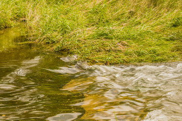 Closeup of grassy bank of small stream with clear water flowing over bed of rocks.