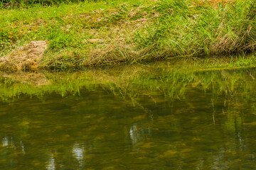 Reflection in clear calm water.