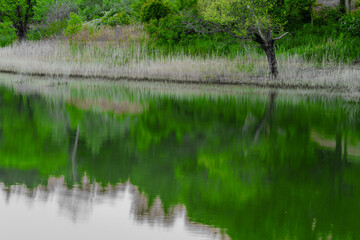Beautiful reflection in water.