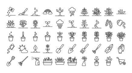 Fototapeta premium bundle of plant growth line style