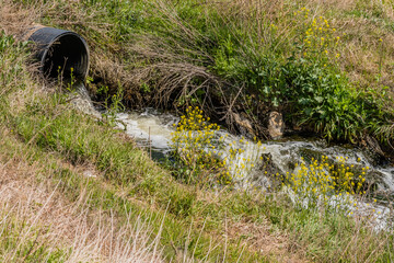 Stream of water and flowers