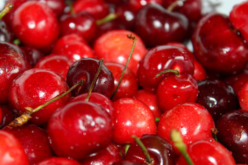 bright red cherries