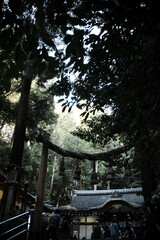 Fototapeta na wymiar 奈良県桜井市 大神神社 Omiya Shrine, Sakurai City, Nara Prefecture, Japan