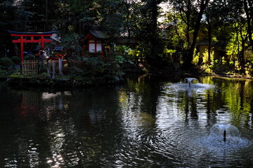 Fototapeta na wymiar 奈良県桜井市 大神神社 Omiya Shrine, Sakurai City, Nara Prefecture, Japan 