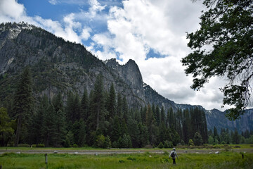 Fototapeta na wymiar ヨセミテ渓谷　散策路、ヨセミテ国立公園、カリフォルニア州　アメリカ合衆国
