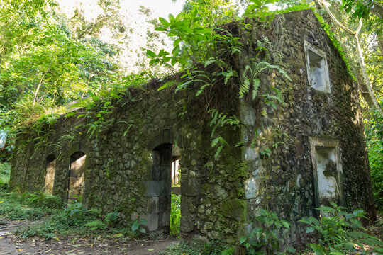 Old Stone House In The Woods In Martinique