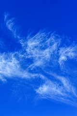 雲に願いを