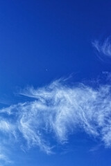 雲に願いを