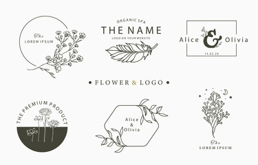 Beauty occult logo collection with tree,flower,feather.Vector illustration for icon,logo,sticker,printable and tattoo © piixypeach