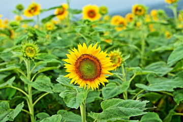 The summer is just around the corner!