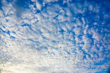 Sunny day blue sky with fluffy cloud