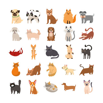 bundle of cats and dogs set icons