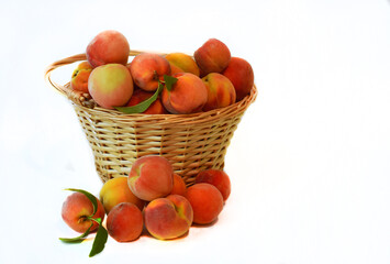 A large basket of peaches with peaches outside the basket.  Isolated on a white background with space for extra copy. For concepts related to freshness, health, nutrition, food, fruit, and groceries.