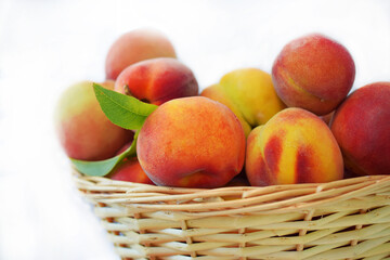 A basket of fresh peaches isolated on a white background. Bright lighting. For concepts related to freshness, health, eating, food, fruit, and agriculture.