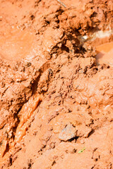 texture of wet brown clay close up