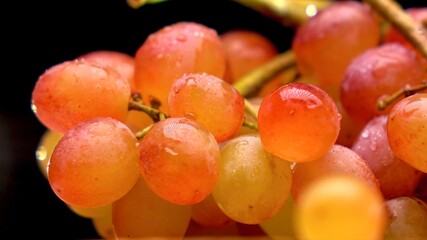 Close up of a bunch of red grapes