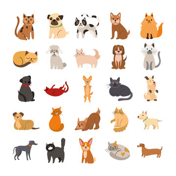 bundle of cats and dogs set icons
