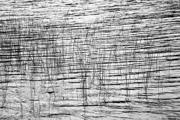 black and white straw painting over lake surface