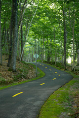 Bike Lane deep into mountain forest
