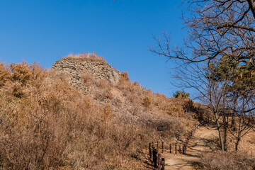 Low angle view of mountain forest wall
