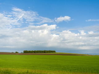 Blue sky and clouds over green fields. Summer sunny day
