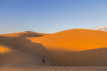 Naklejka na ściany i meble Sunset view of Sand dunes in XiangshaWan, or Singing sand Bay, in hobq or kubuqi desert, Inner Mongolia, China