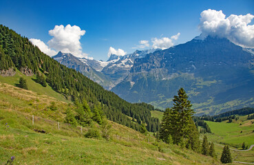 Fototapeta premium Jungfrau region