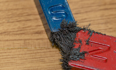 Iron filings attached to magnet