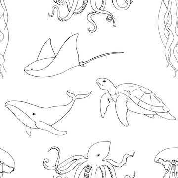 Mistery sea is a collection of high-quality hand-drawn watercolor and line art pattern of sea animals, abstract shapes and planets, constellations, abstract lines and stars.